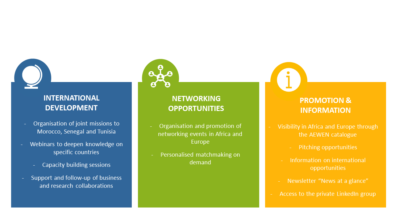 Developing a New Retailer Model in Europe with its Network to