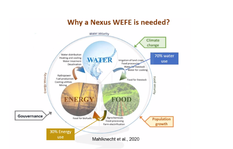 Achieving the SDGs through the WEF nexus – replay of the capacity building webinar